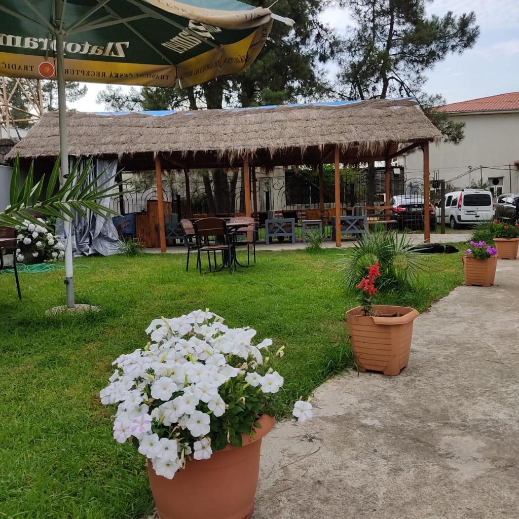 David Palace Hotel Ureki photo 1