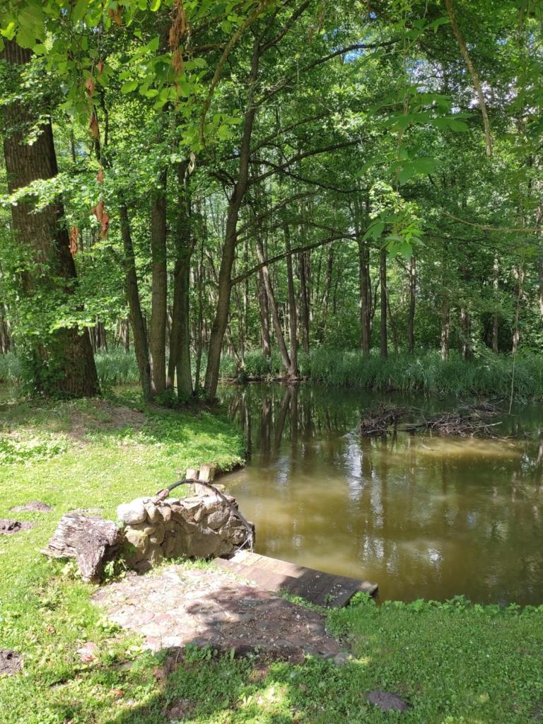 Agroturystyka Kajaki Sauna Pierogi photo 2