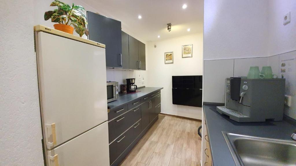 City Apartment Hanau photo 3