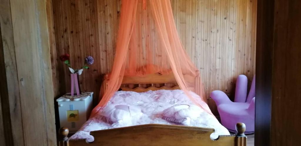 Special Guest House in Guria photo 2