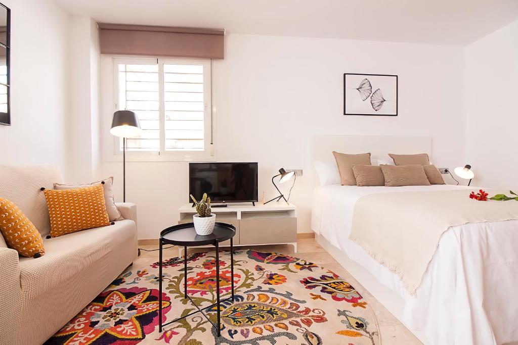 Teatro Suites Málaga CITY FLAT Room Type - Studio Apartment