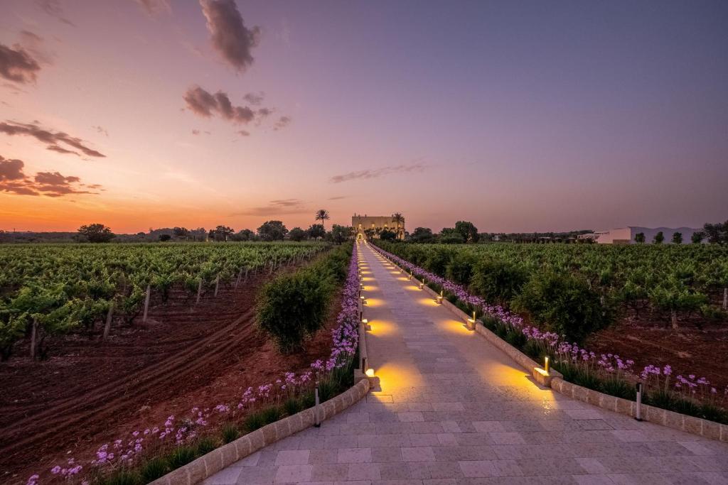Tenuta Rocci Cerasoli photo 3