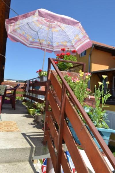 Apartmani Čolović photo 3