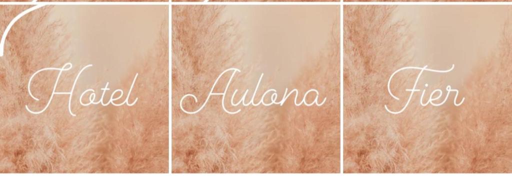 HOTEL AULONA FIER photo 1