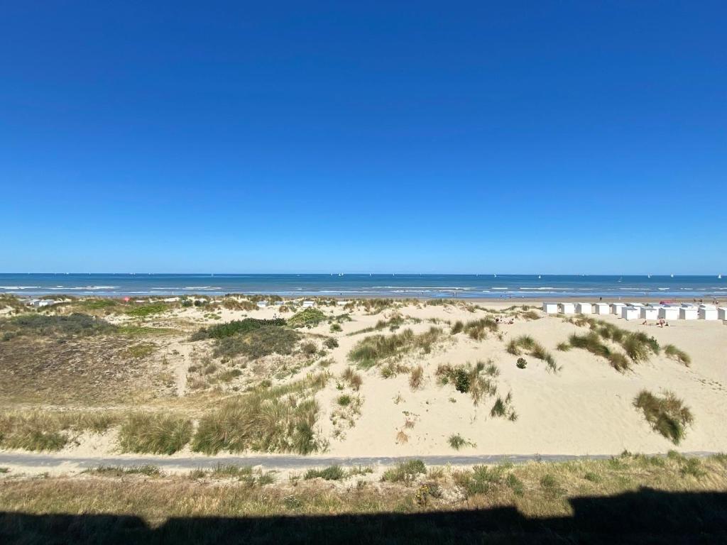 Cabien Zeedijk Oostduinkerke photo 2