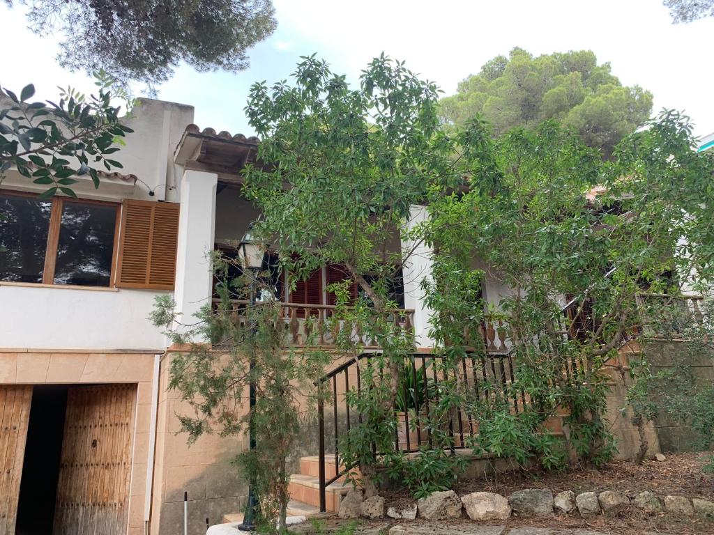 Gemütliches Ferienhaus am Club Nautico, Santa Ponça photo 3
