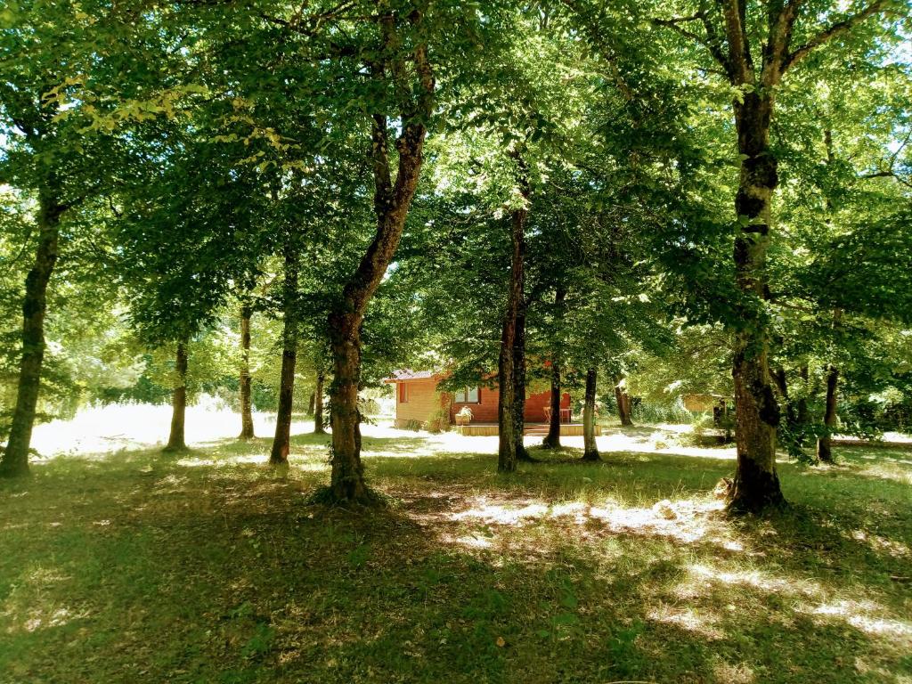 Chalet en forêt, brame du cerf photo 2
