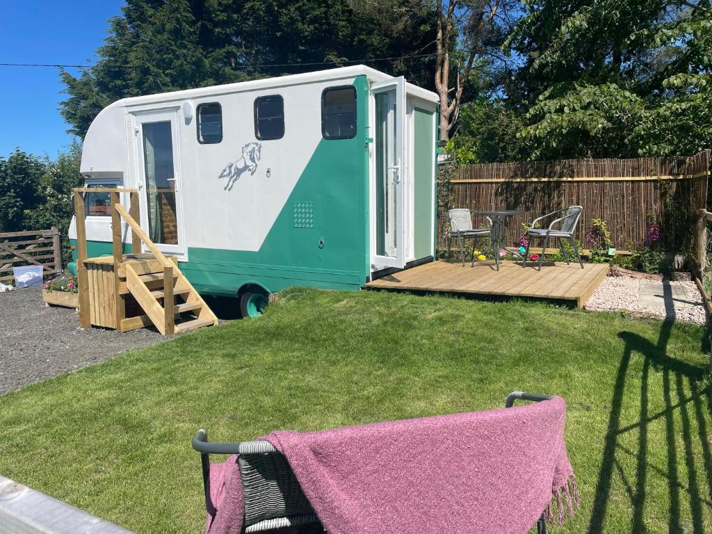 Pant y Rhedyn Glamping and camping site photo 3