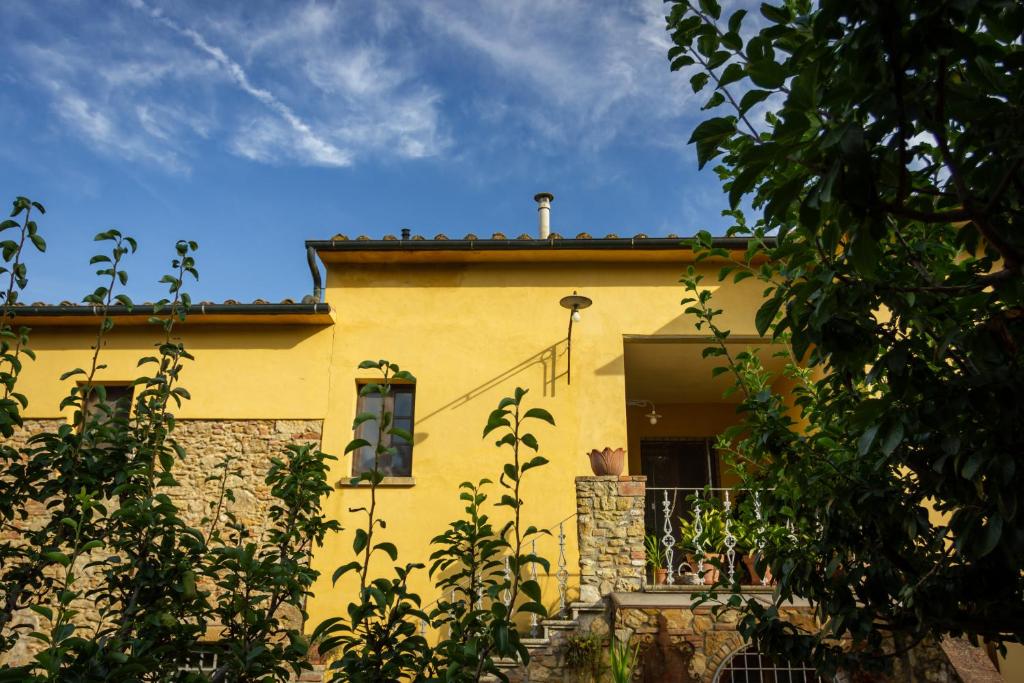 CASE&COLLINE Bella Vista photo 3