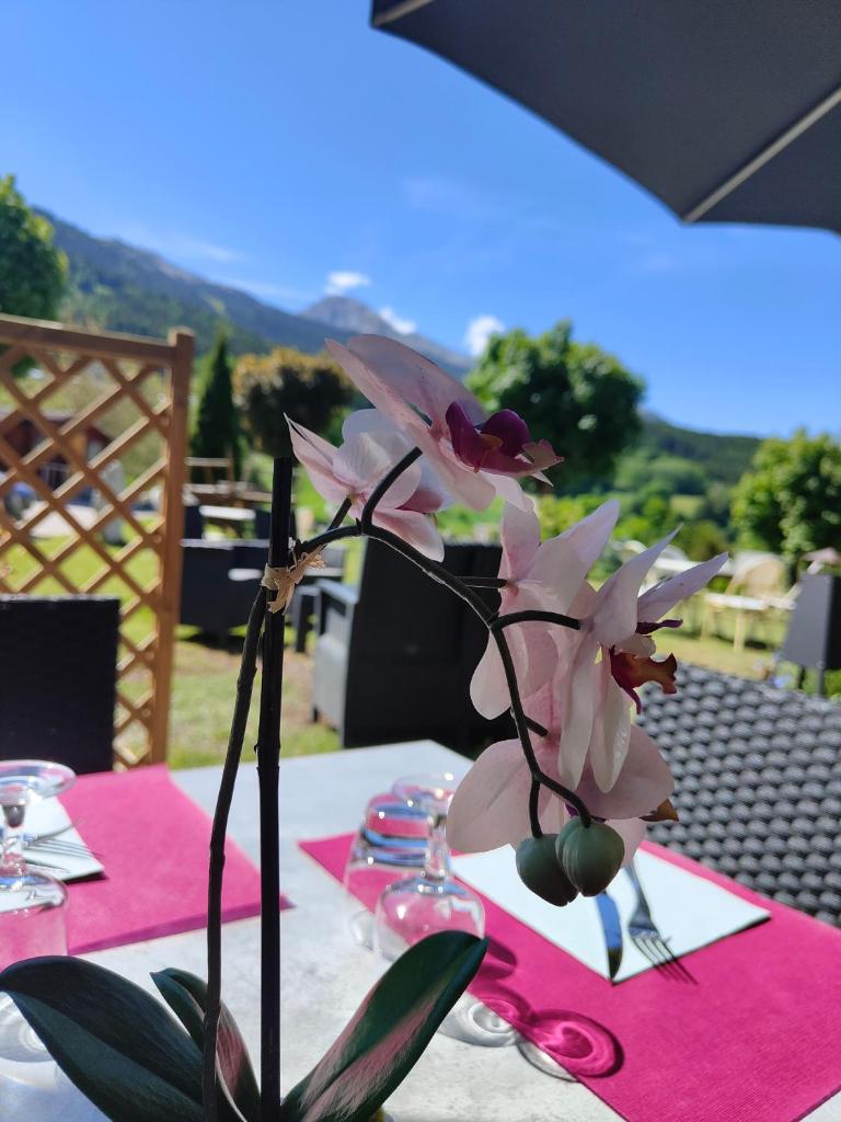 Logis Hotel Les Playes - F&B