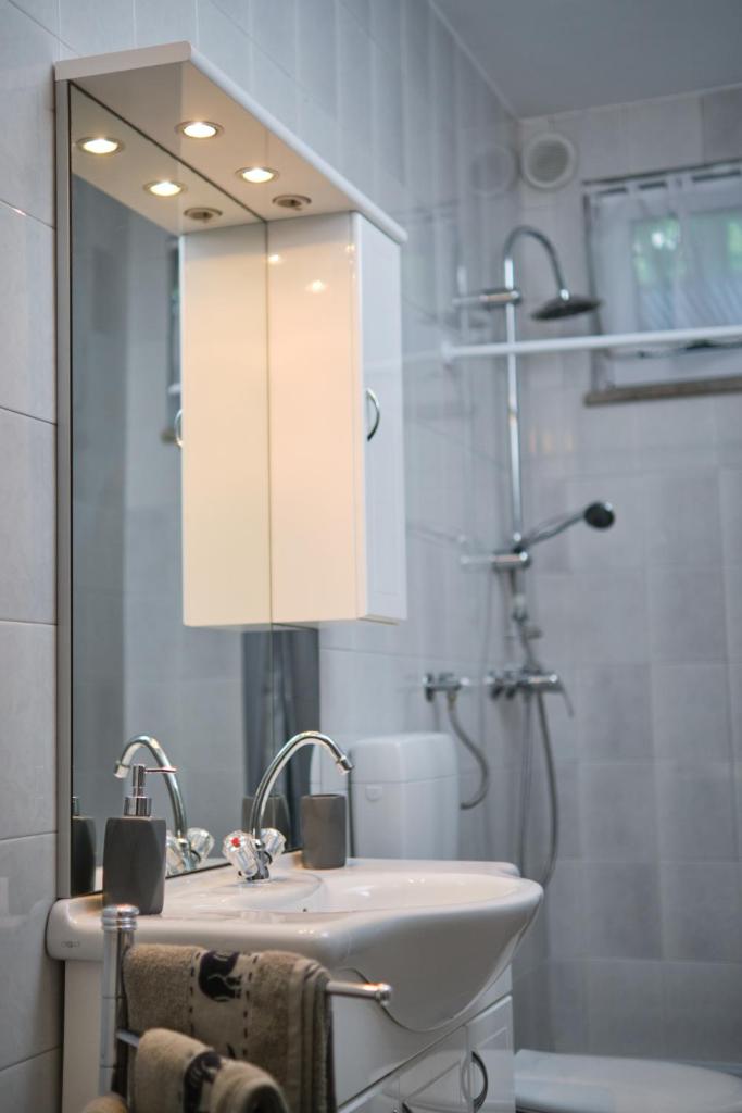 Apartma Pic Ros photo 1