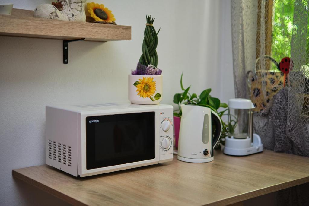 Apartma Pic Ros photo 3