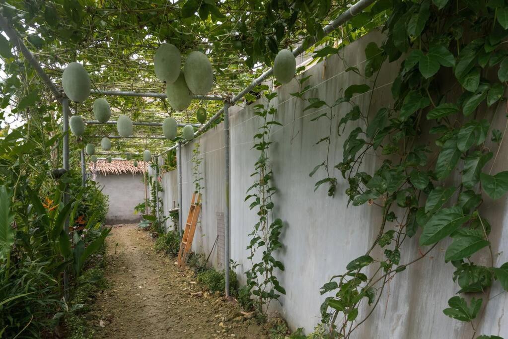 Alaia Hideaway photo 4
