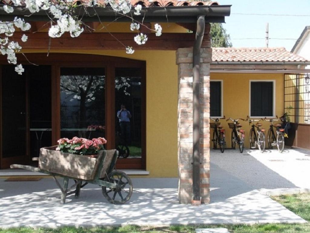 Particolari del Brenta photo 1