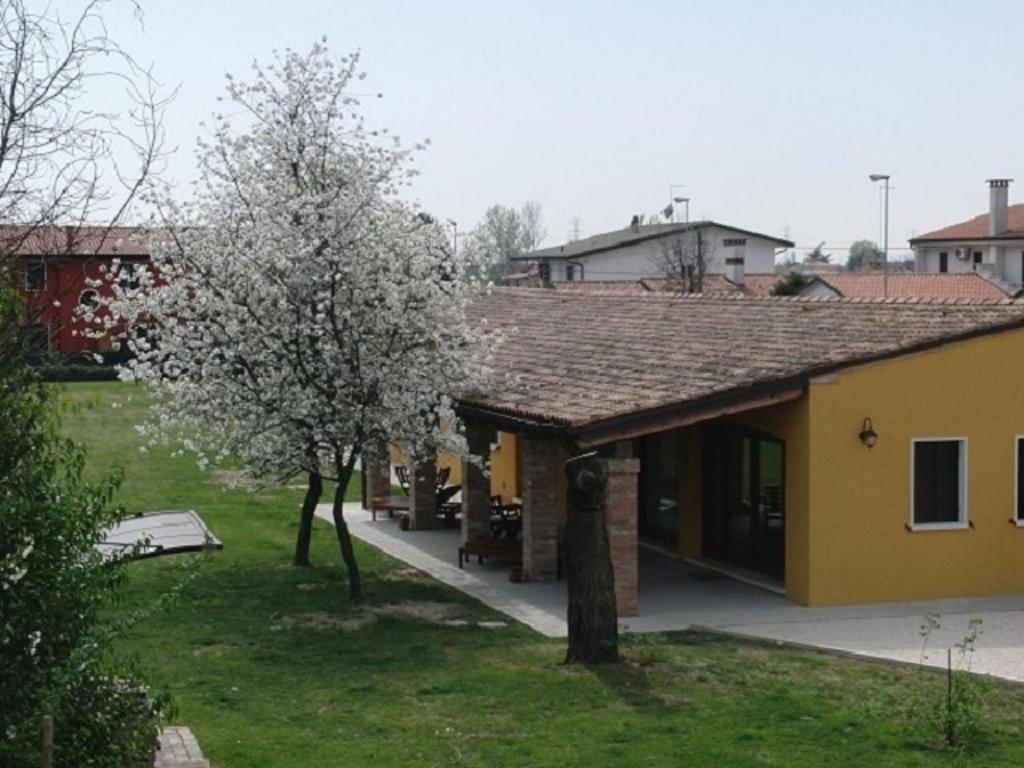 Particolari del Brenta photo 2