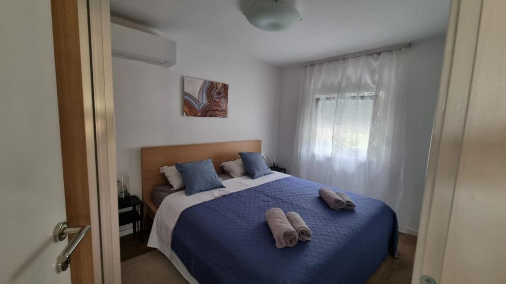 Apartman Z12 photo 4
