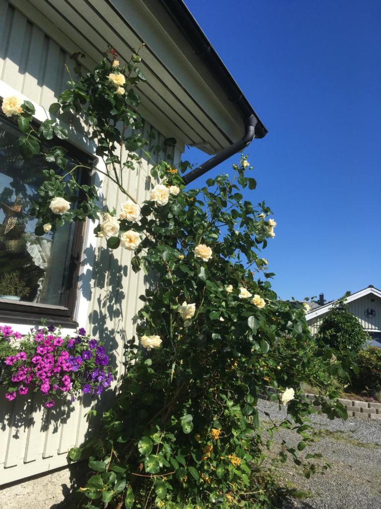 AirbnbEkåsberg photo 1