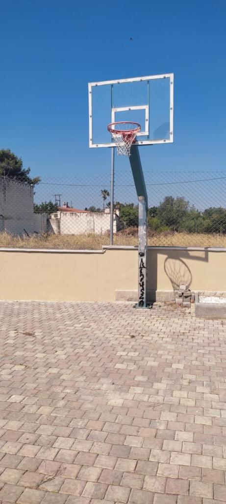 Basketball & Barbeque photo 4