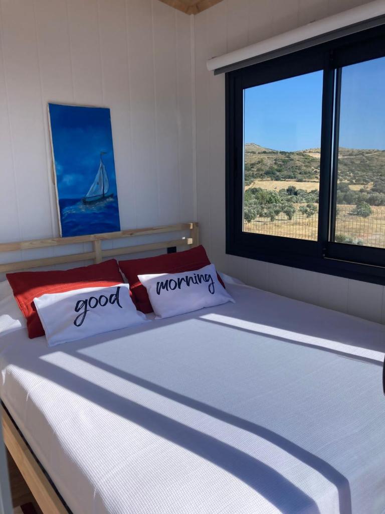 Zeytiny l Tiny Houses & Farm l Çeşme photo 3