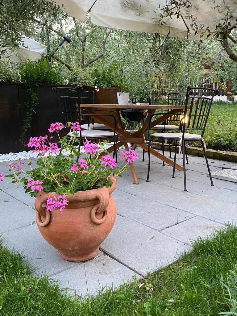 Casa 32 photo 4