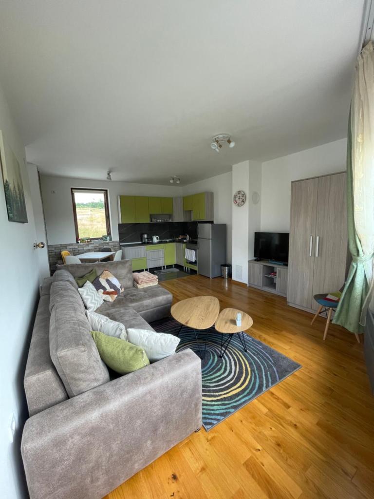 Apartman Toroman photo 4