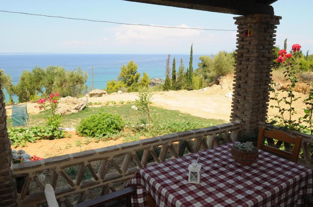 Arpyia photo 4