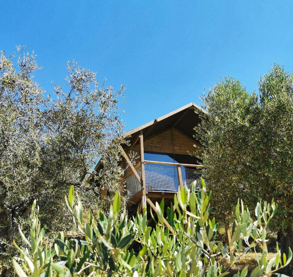 Glamping CirelliWines Abruzzo photo 1