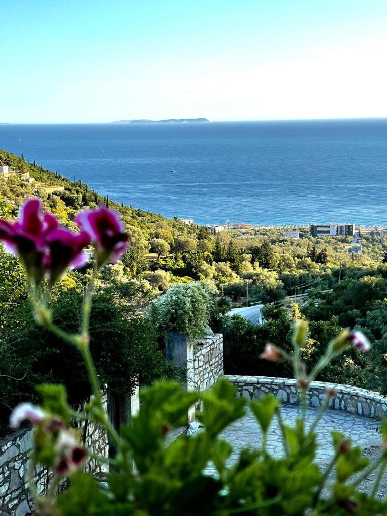 Alex Boutique Hotel photo 2