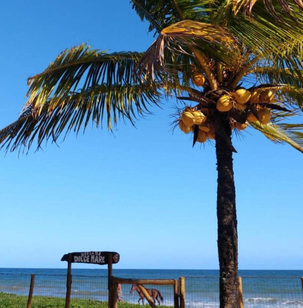 Pousada Dolce Mare photo 1