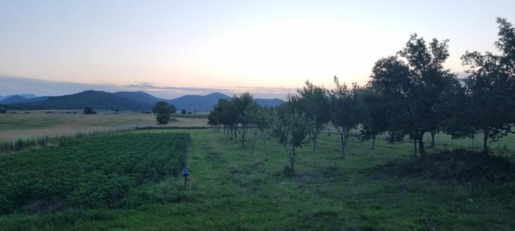 Apartman Marija photo 2