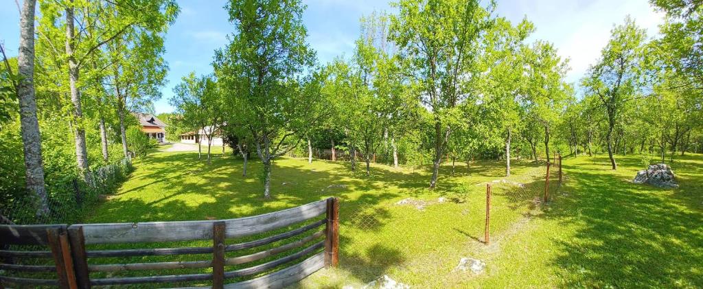 Apartman Marica photo 4