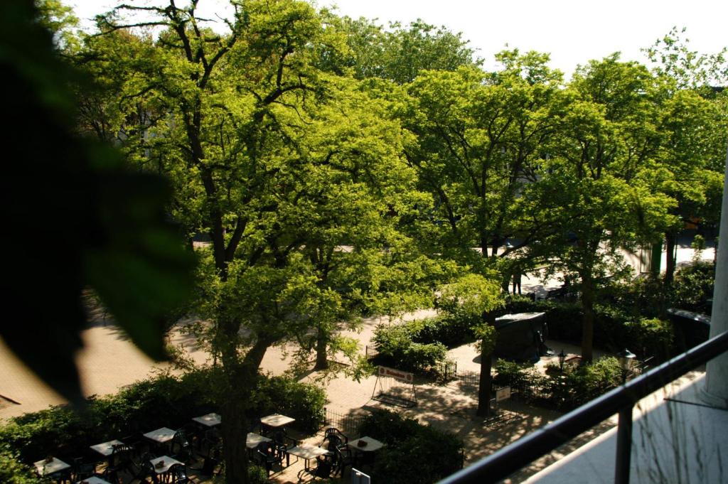 Treetop Apartment photo 2