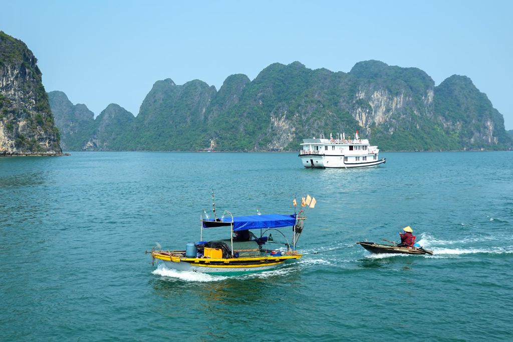 Du thuyền Fantasea Adventures 