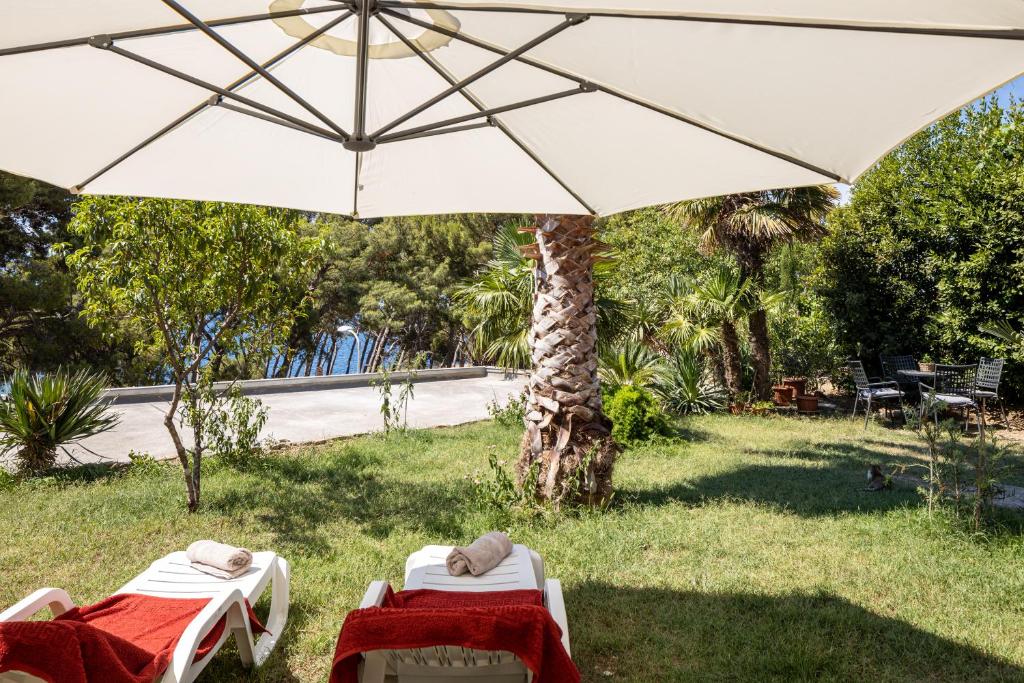 Sea View & Beach Luxury Palm Garden Split Apartment photo 1