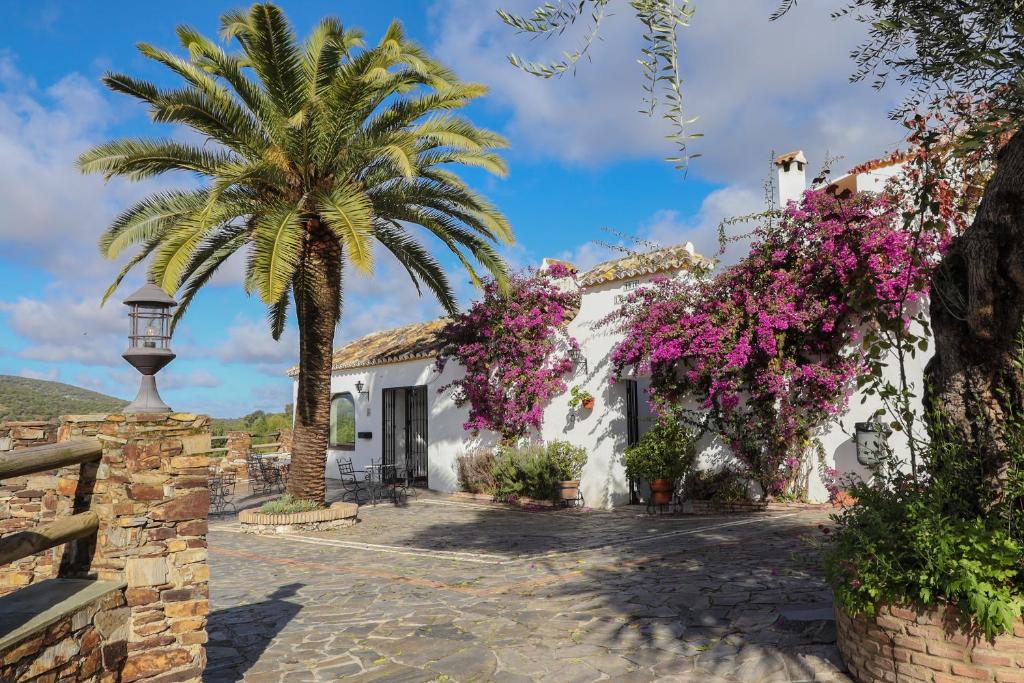 Cortijo Huerta Dorotea photo 4