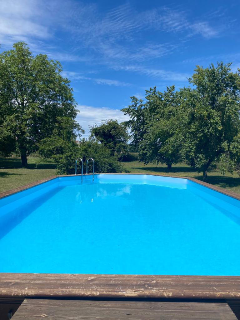 Magnifique villa piscine dans un écrin de verdure photo 1