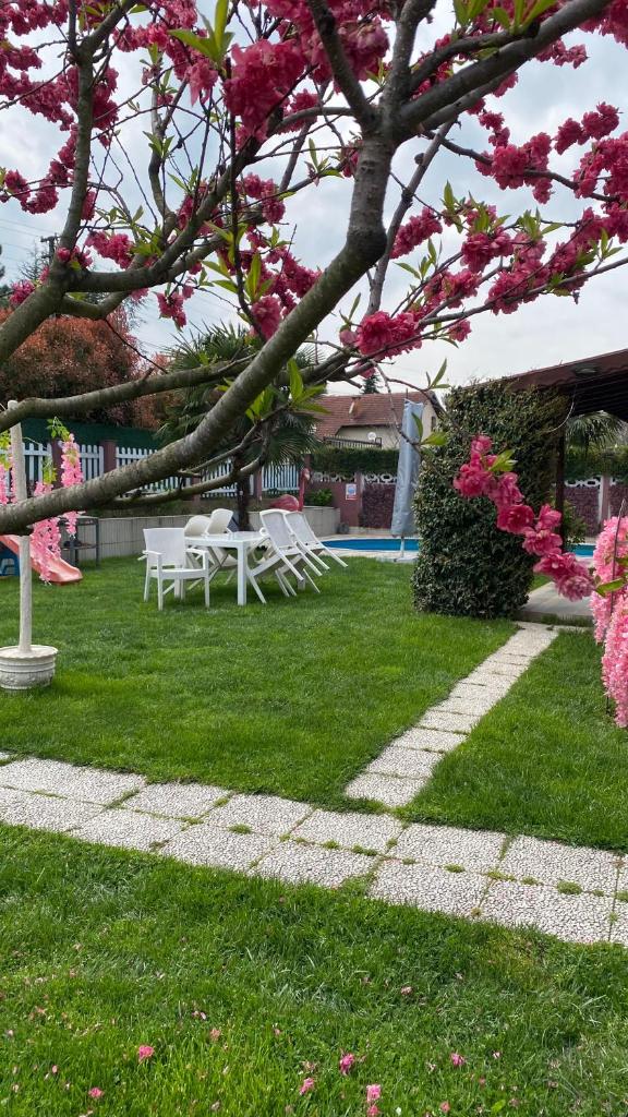 Villa Bade sıcak havuzlu photo 4