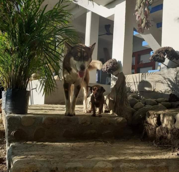 Aldea Xha Iba' Zipolite photo 2