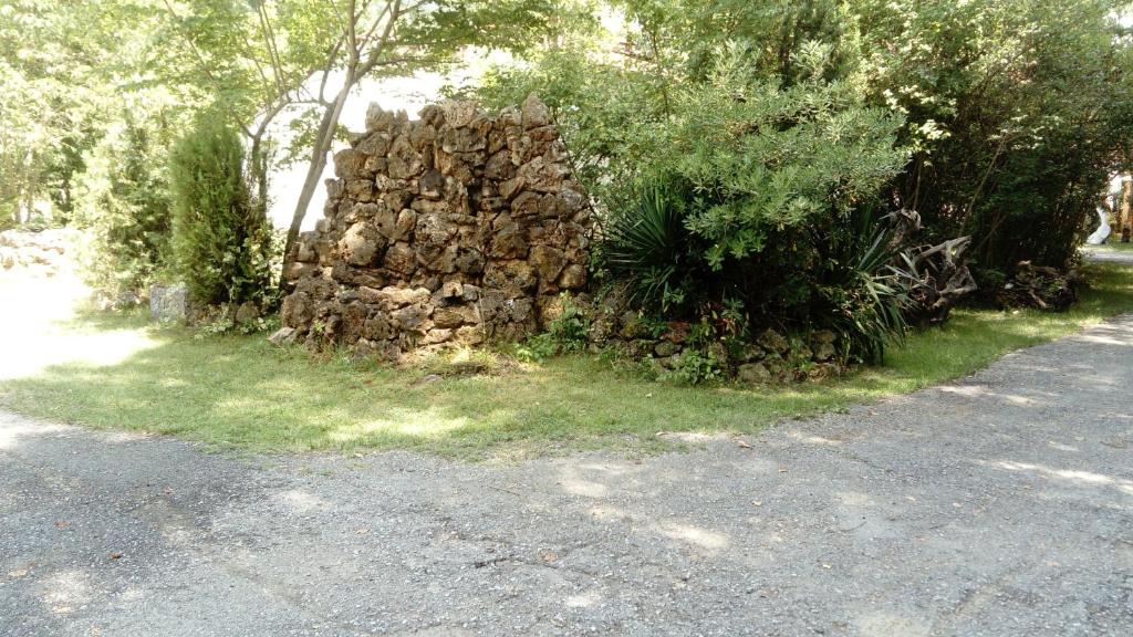 CAMPING ELIZABETH photo 2