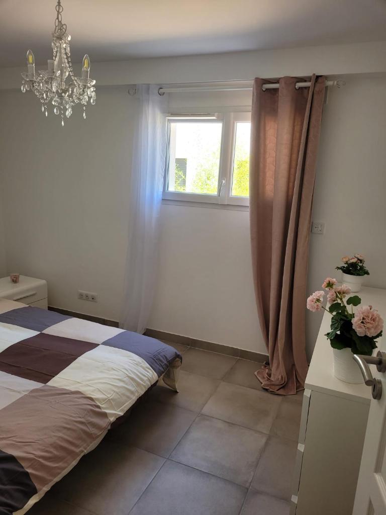Chambres & Suites chez habitant photo 1