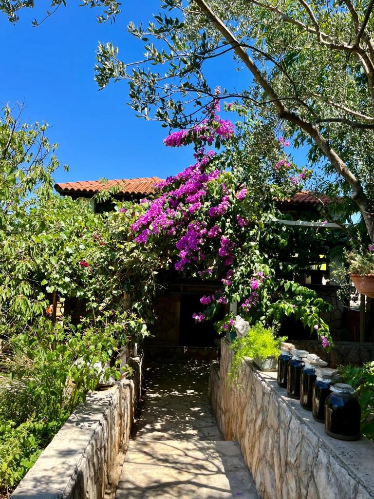 Gorana apartman with swimming pool photo 4