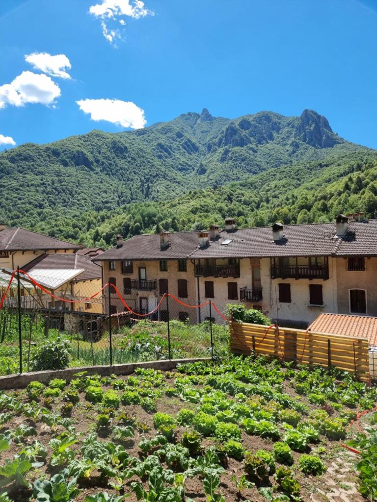 Trattoria Albergo all'Alpino photo 3