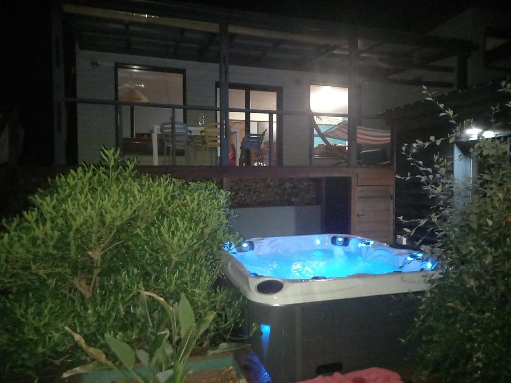 Magnifique villa avec jacuzzi photo 1