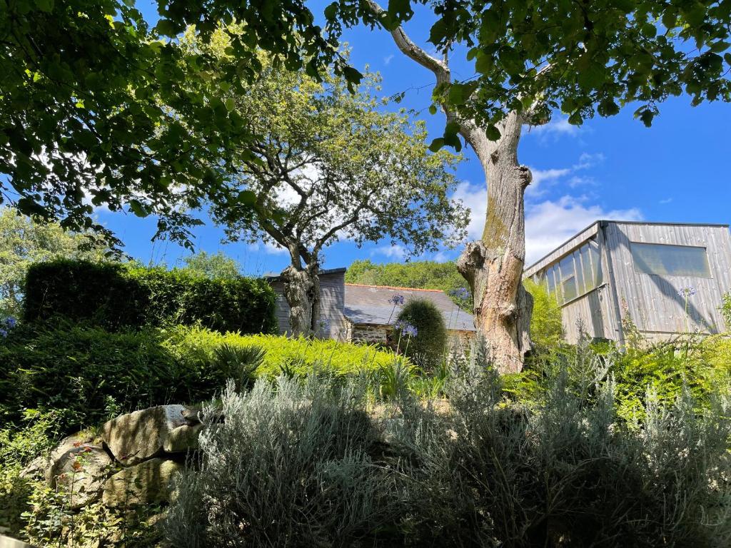 Magnifique villa avec jacuzzi photo 3