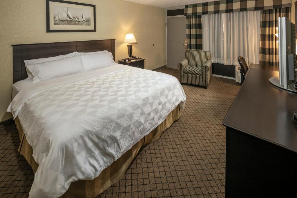 Holiday Inn Detroit Lakes, an IHG Hotel photo 3