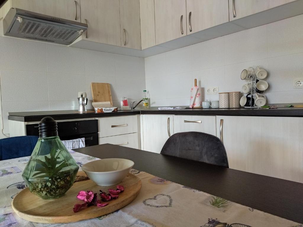 Apartman Ana photo 2