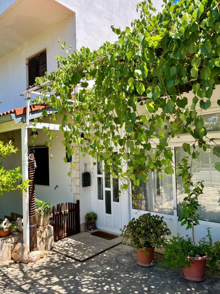 Gorana apartman with swimming pool photo 1