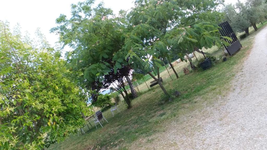 AZIENDA AGRITURISTICA LA VECCHIA QUERCIA photo 3