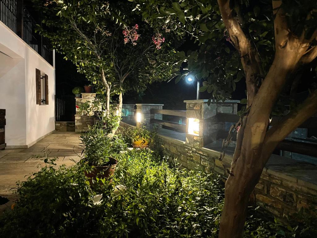 Το κατώγι photo 4