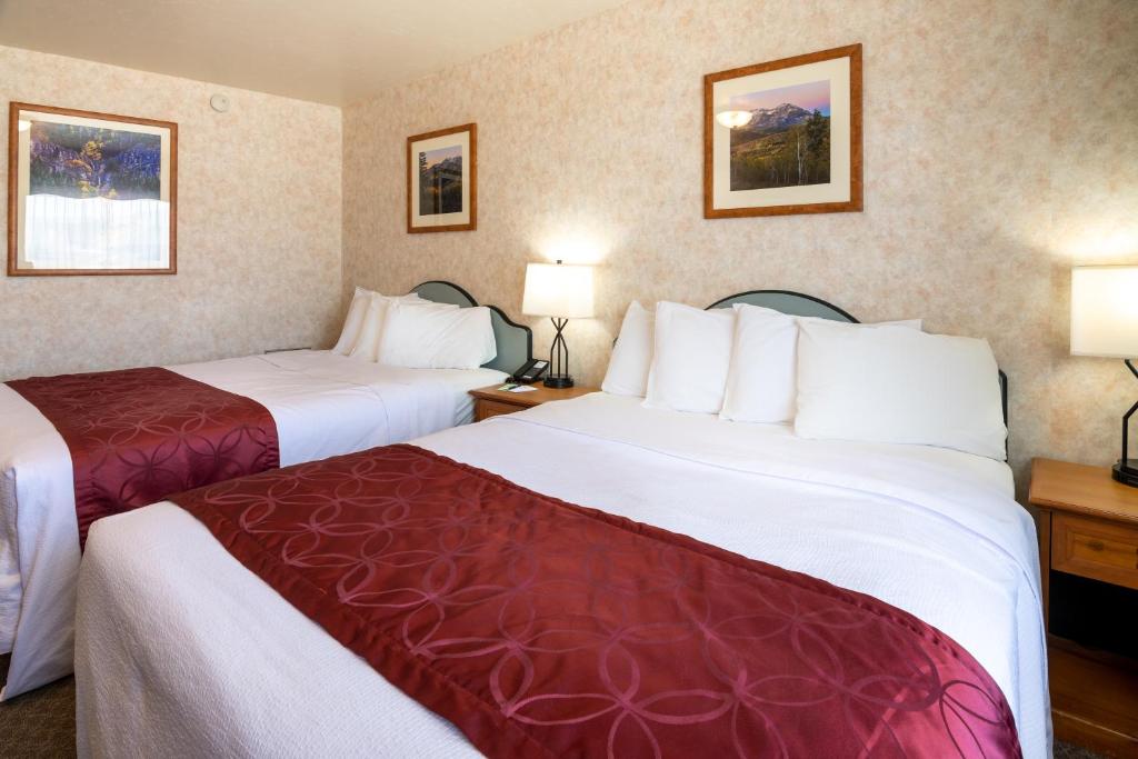 Swiss Alps Inn image